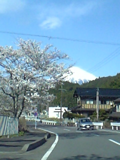 ���ꂿ���������