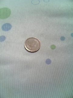 ���ꂿ���������