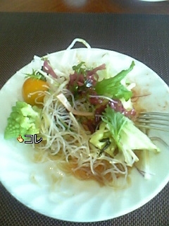 ���ꂿ���������