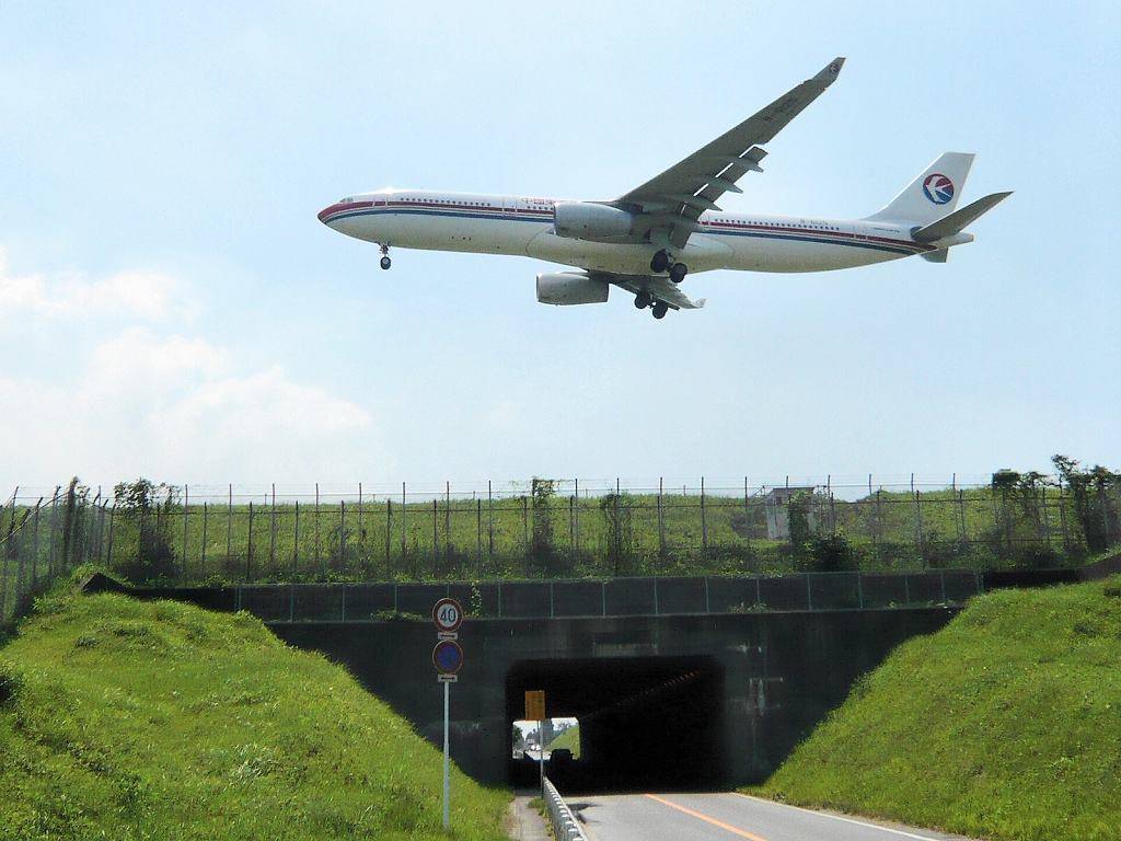 �炢����Ă������̕���