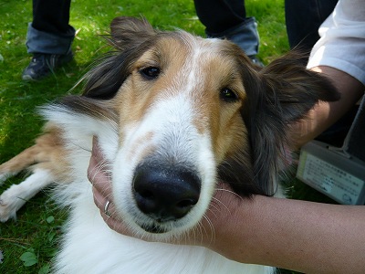 �炢����Ă������̕���