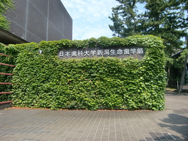 b{sۂ̓@P䎕Ȉ@