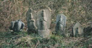 �����̂���l�ɂ͖ʔ������ȁH�H