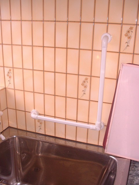 ���ی��̎萠���t���@�₷�炬�{��