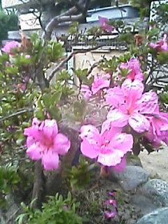 �`�k���@�q�n�r�d�@�����@�u�������������������`