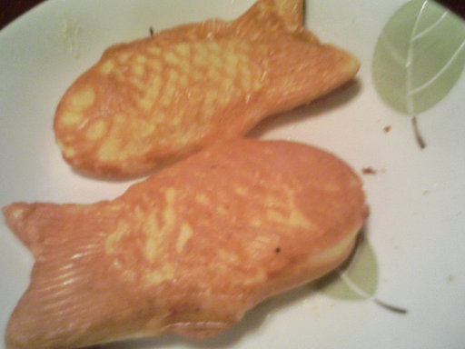 �`�k���@�q�n�r�d�@�����@�u�������������������`