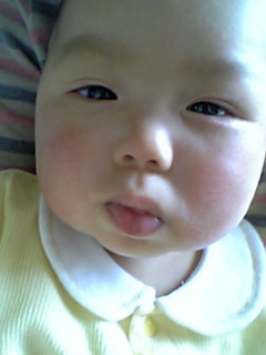 �`�k���@�q�n�r�d�@�����@�u�������������������`