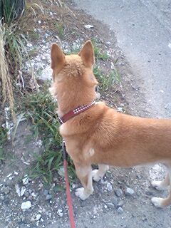 �����u���O