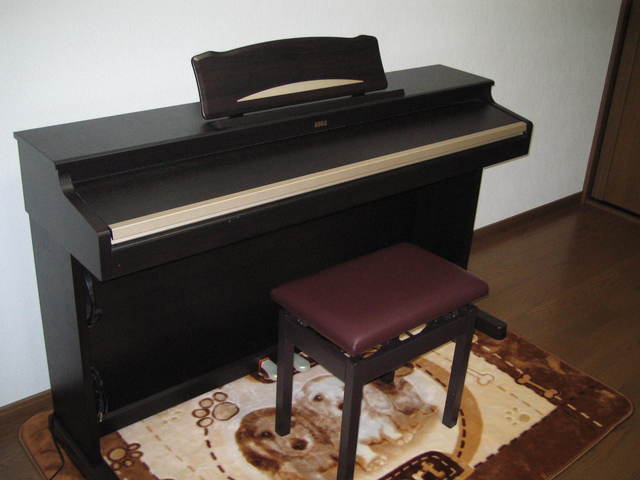 Music Diary�@�`�@from Yukimame