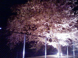 ** Part of your world **