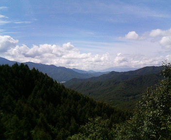 ���ʏ���