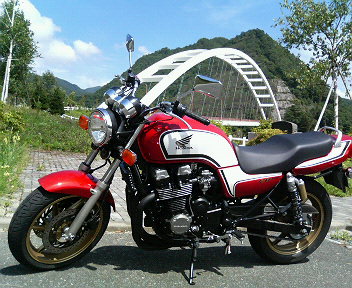 ���ʏ���