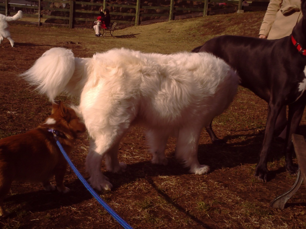 ���ʏ���