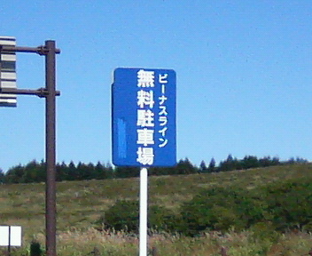 ���ʏ���