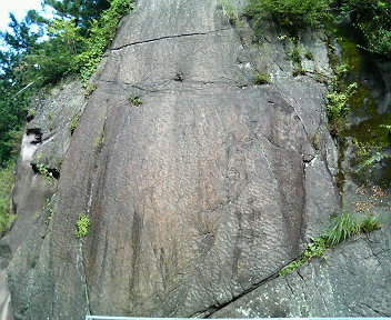 ���ʏ���