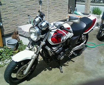 ���ʏ���