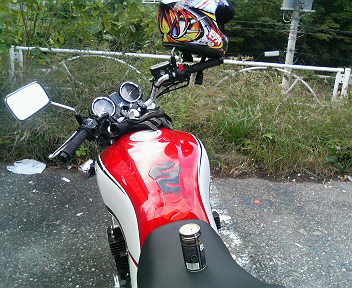 ���ʏ���