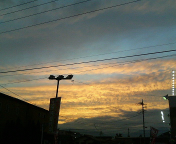 ���ʏ���