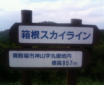 ���ʏ���