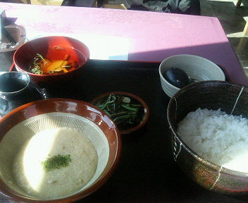 ���ʏ���