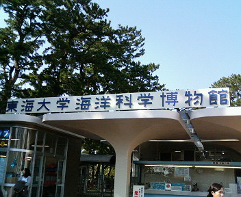 ���ʏ���