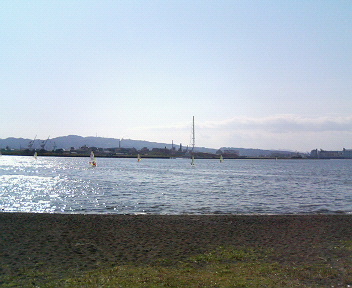 ���ʏ���