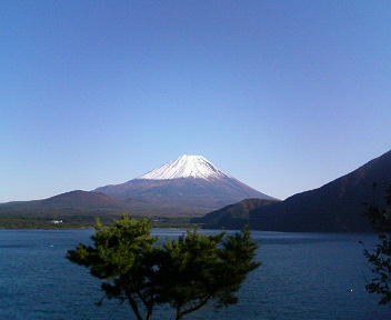 ���ʏ���