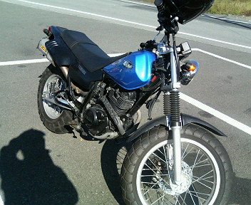 ���ʏ���